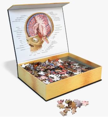 Human Brain Puzzle