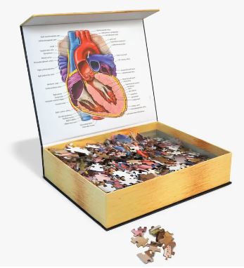 Human Heart Puzzle