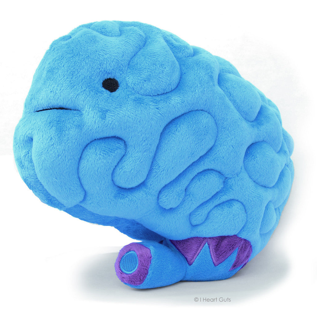 Brain Plush Mutter Museum Store