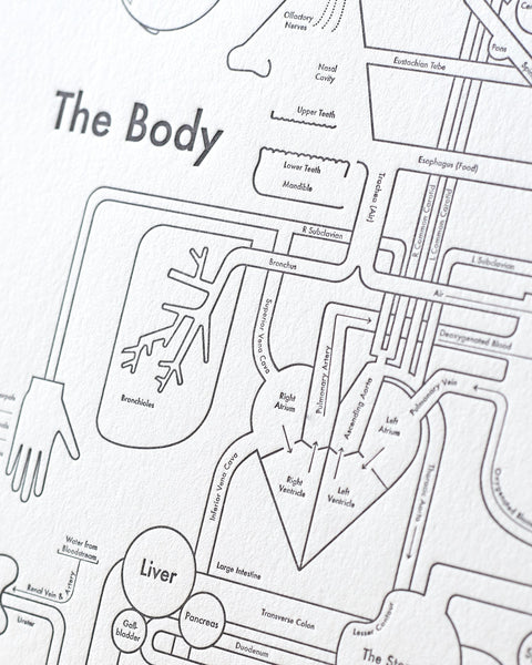 Body Map Print