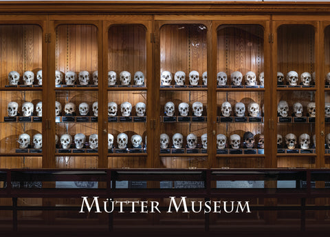 A photo of the wall of Hyrtl Skulls on the first floor of the museum. The Mütter Museum logo is in white on the bottom.