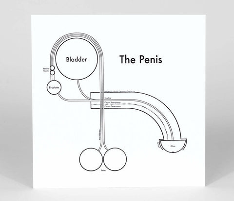 Penis Map Print