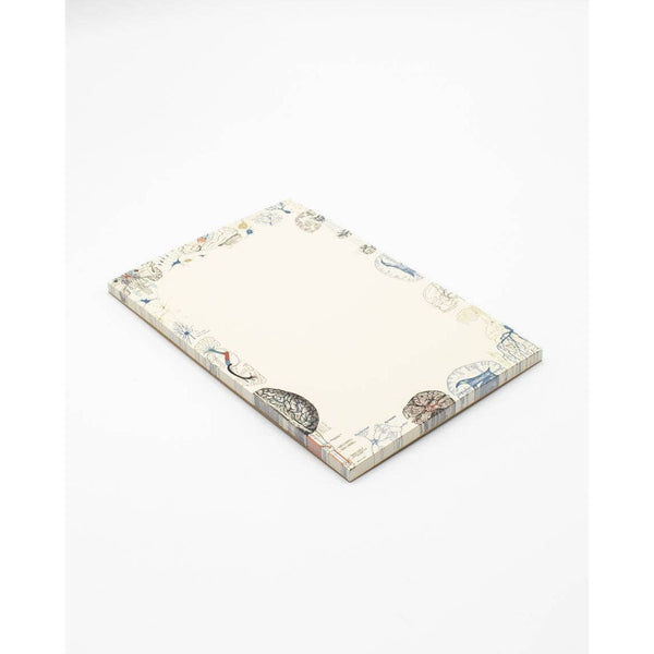 Brain Science Notepad