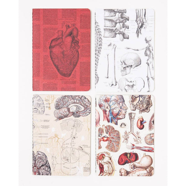 Anatomy Pocket Notebook 4-pack