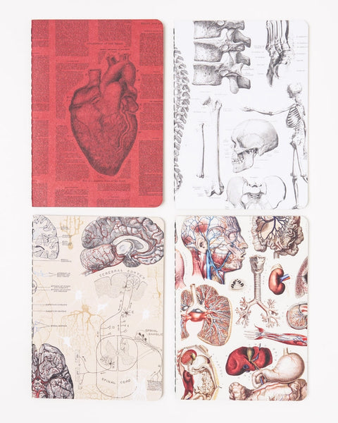 Anatomy Pocket Notebook (4 Pack)