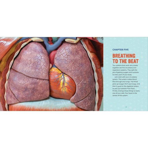 Human Anatomy for Kids
