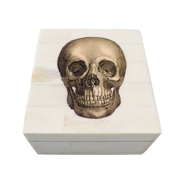 Bone Box with Printed Skull | Tabletop decor | storage