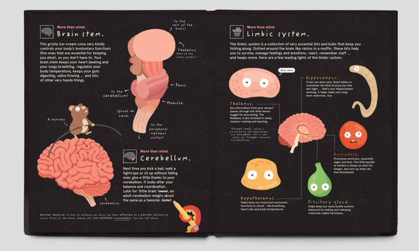 Your Brilliant Brain