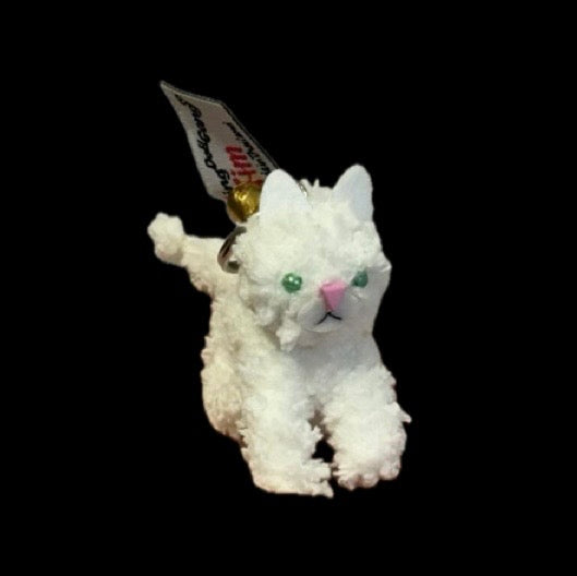 Tim the Cat