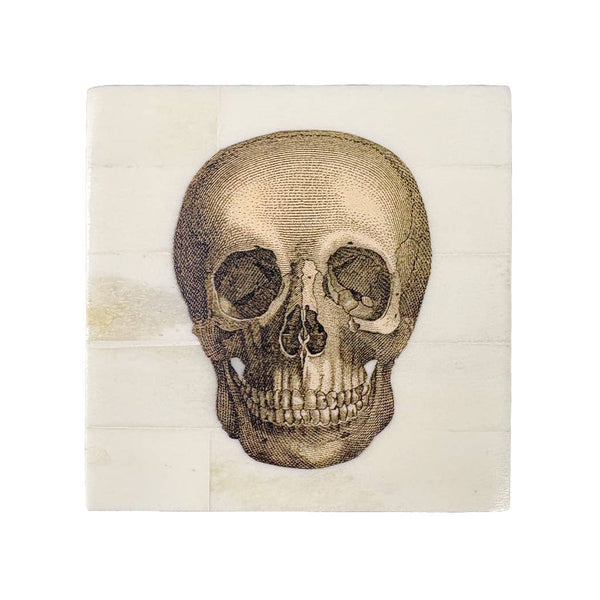 Bone Box with Printed Skull | Tabletop decor | storage