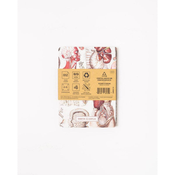 Anatomy Pocket Notebook 4-pack