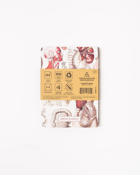 Anatomy Pocket Notebook (4 Pack)