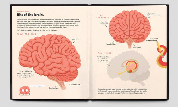 Your Brilliant Brain