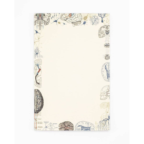 Brain Science Notepad