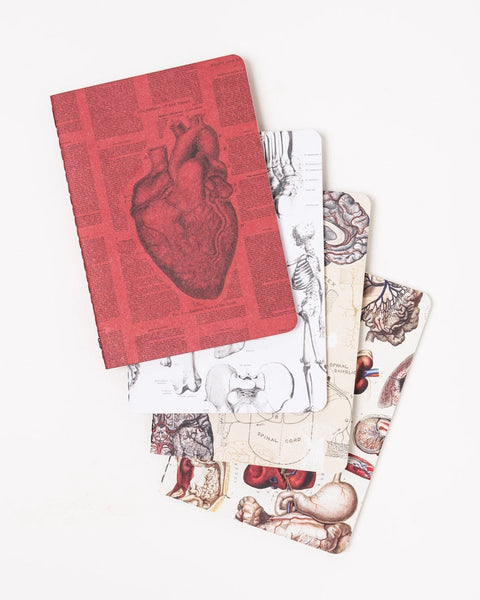 Anatomy Pocket Notebook (4 Pack)