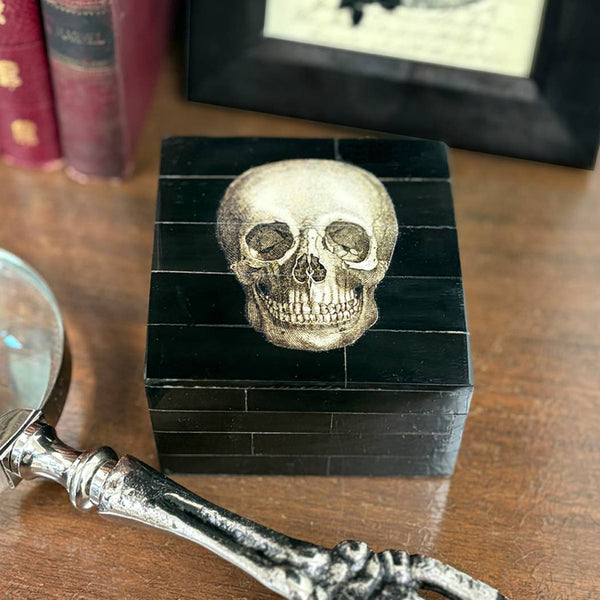 Black Horn Box with Printed Skull | Tabletop Decor | Accents