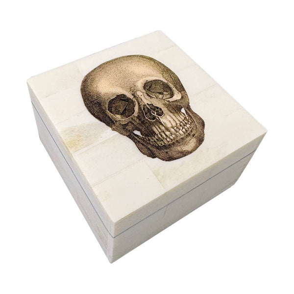 Bone Box with Printed Skull | Tabletop decor | storage