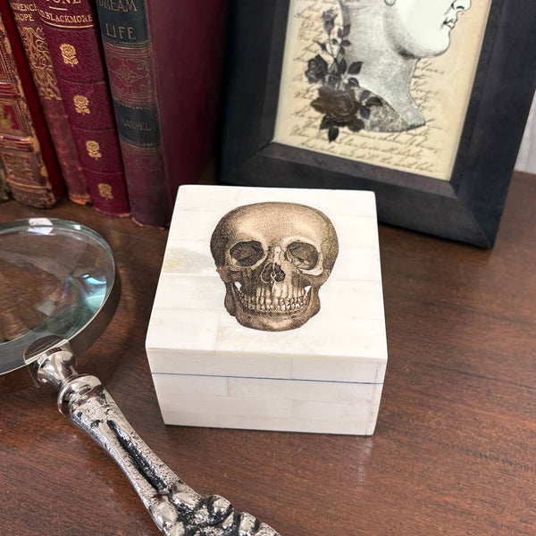 Bone Box with Printed Skull | Tabletop decor | storage