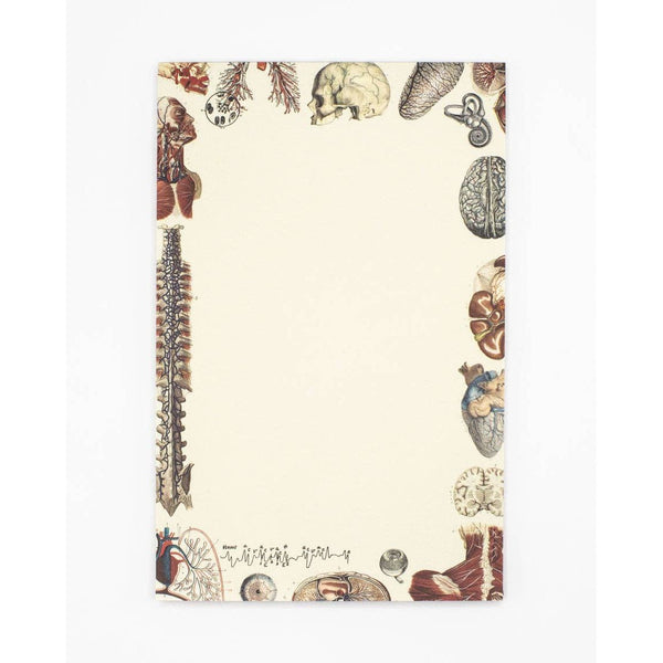 Human Anatomy Notepad (Case of 6)