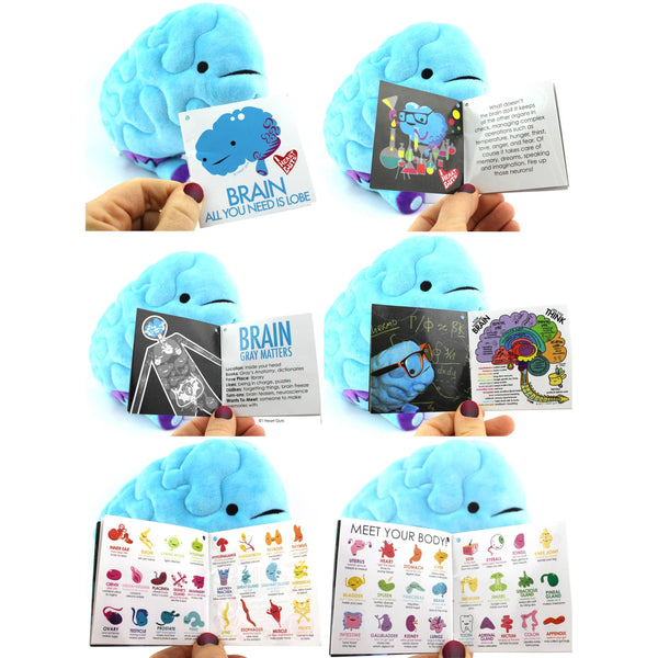 Brain Plush - All You Need Is Lobe