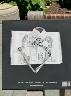 Andrea Baldeck: Bones, Books, & Bell Jars (Photography Book)