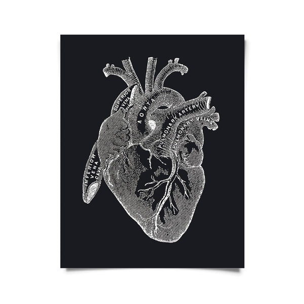 Vintage Anatomy Heart Diagram Black Print