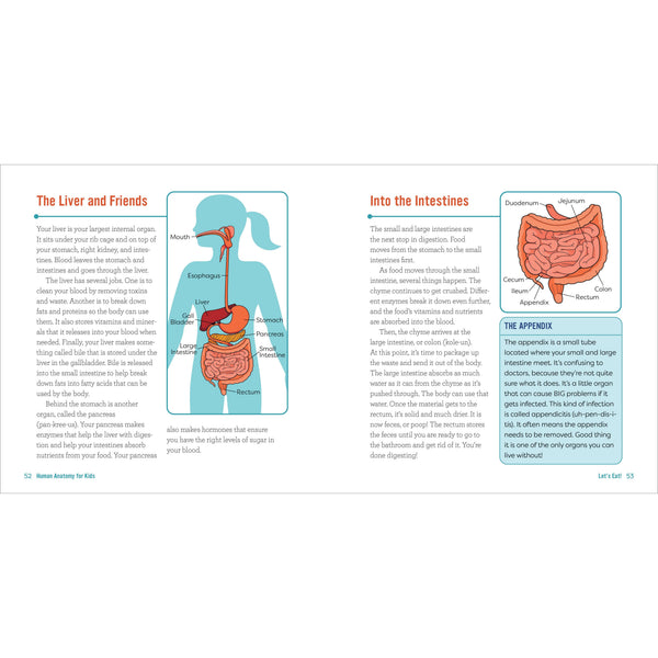 Human Anatomy for Kids