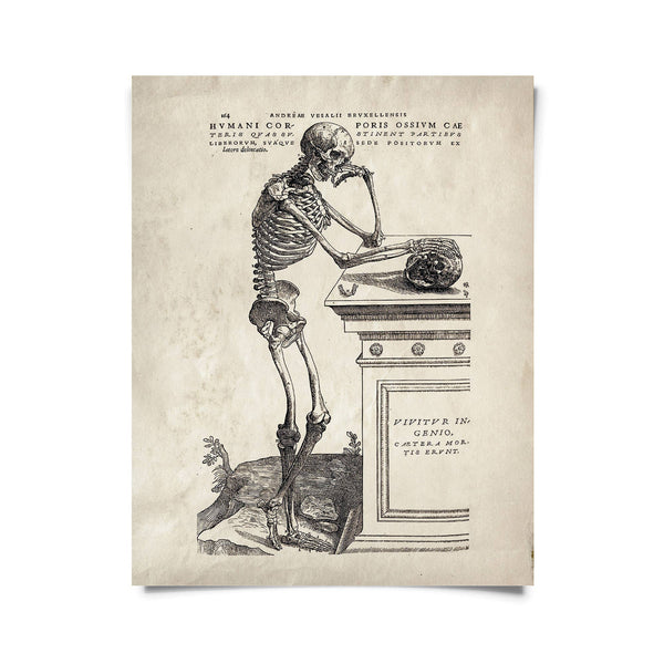 Vintage Anatomy Skeleton Leaning Print