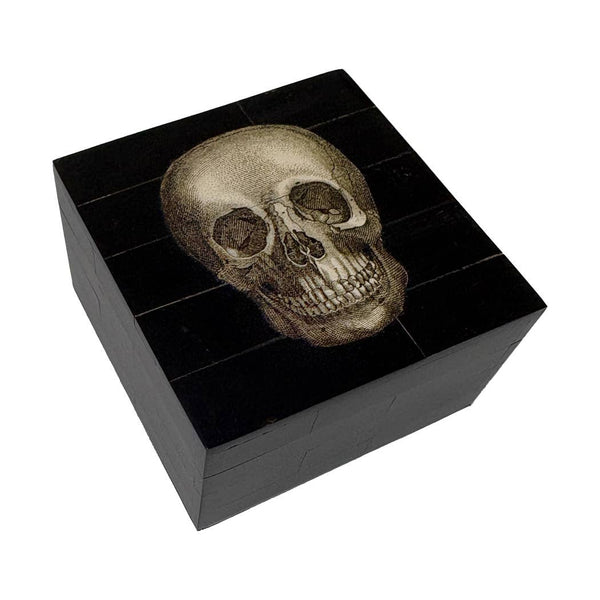 Black Horn Box with Printed Skull | Tabletop Decor | Accents
