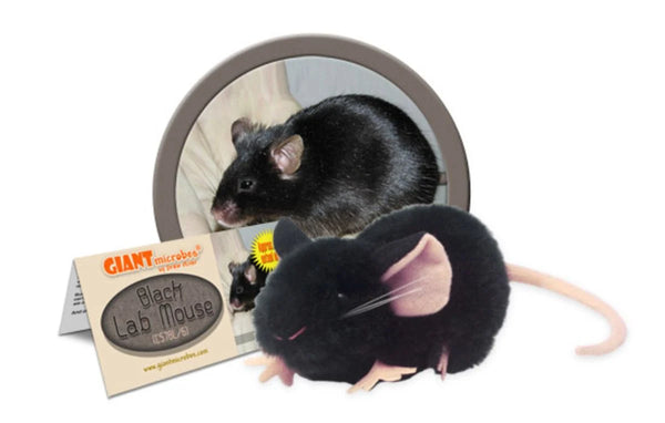 Plush - Black Lab Mouse