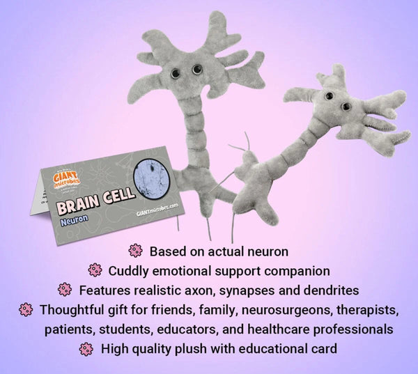 Neuron