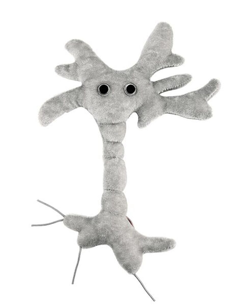 Neuron