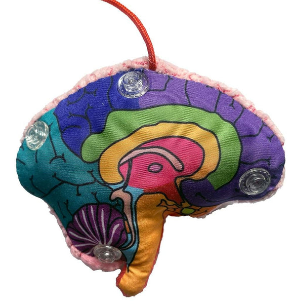 Brain model keychain