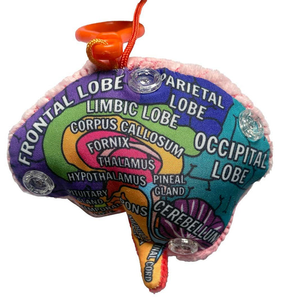 Brain model keychain