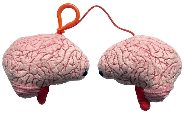 Brain model keychain
