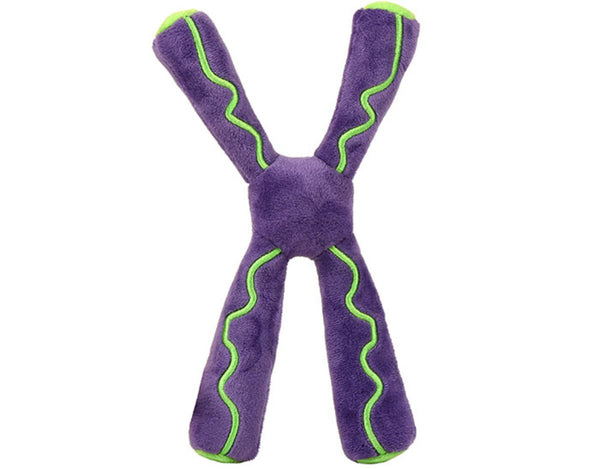 Chromosome