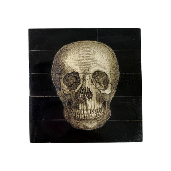 Black Horn Box with Printed Skull | Tabletop Decor | Accents