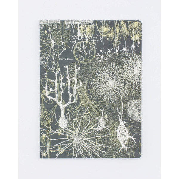 Neurons Softcover Notebook - Lined Pages