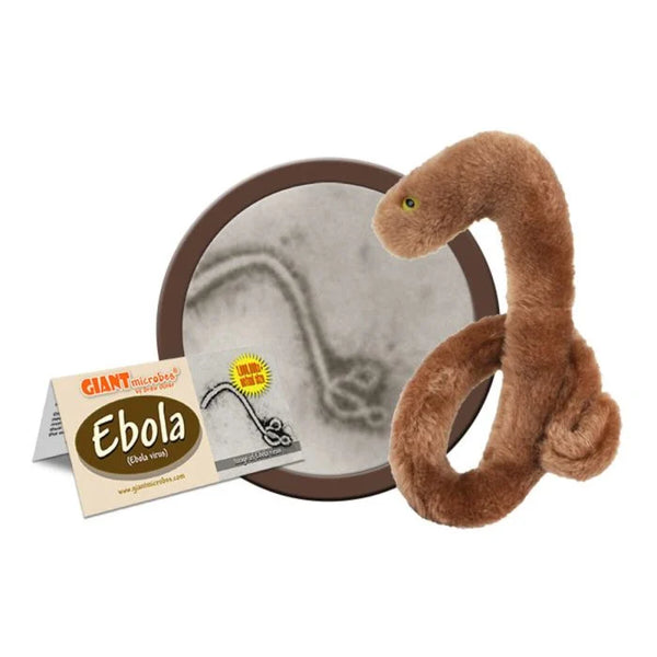 Ebola
