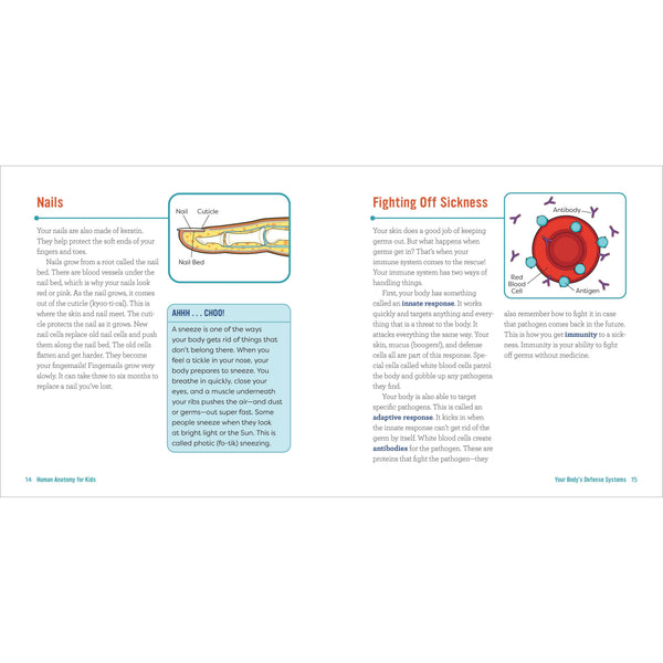 Human Anatomy for Kids