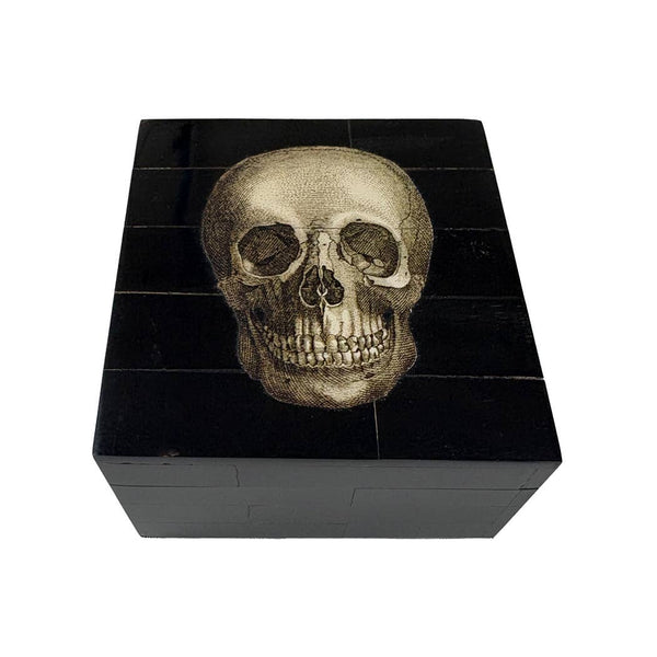 Black Horn Box with Printed Skull | Tabletop Decor | Accents