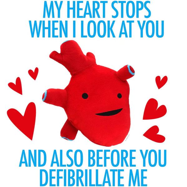 Give Me Your Heart Plush