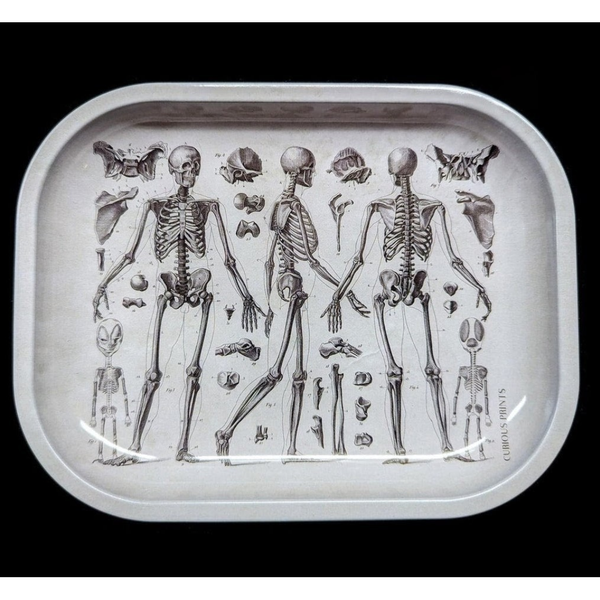 Small Metal Skeleton Diagram Trinket Tray