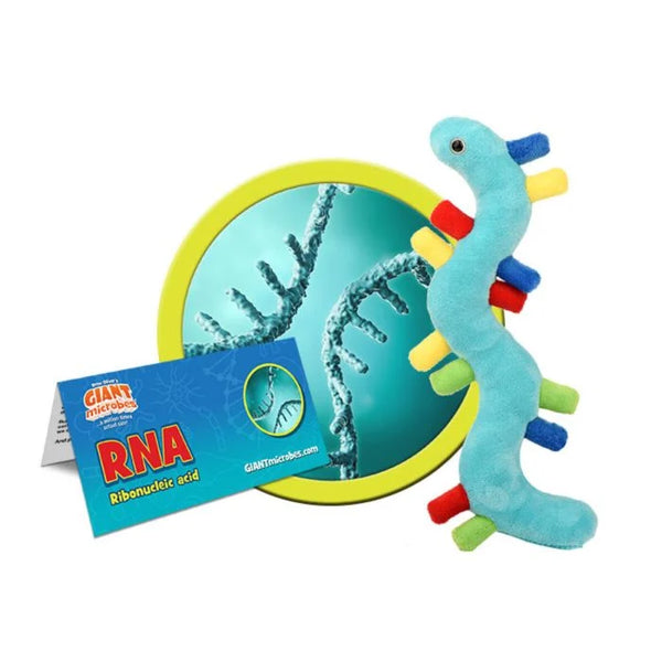 RNA Plush
