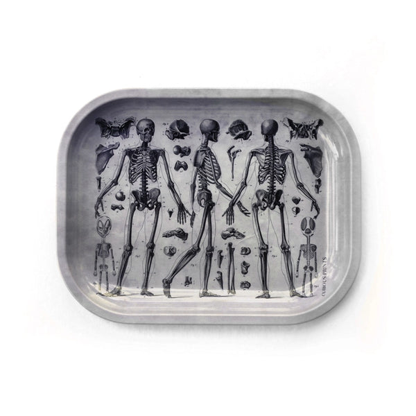 Small Metal Skeleton Diagram Trinket Tray