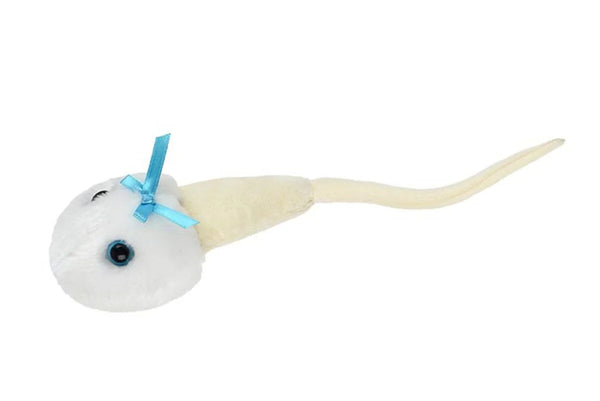 Sperm Cell