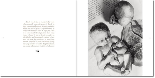 Andrea Baldeck: Bones, Books, & Bell Jars (Photography Book)