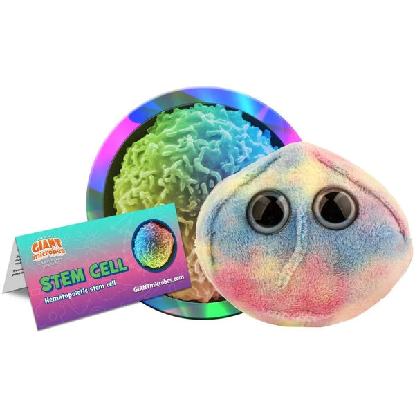 Stem Cell