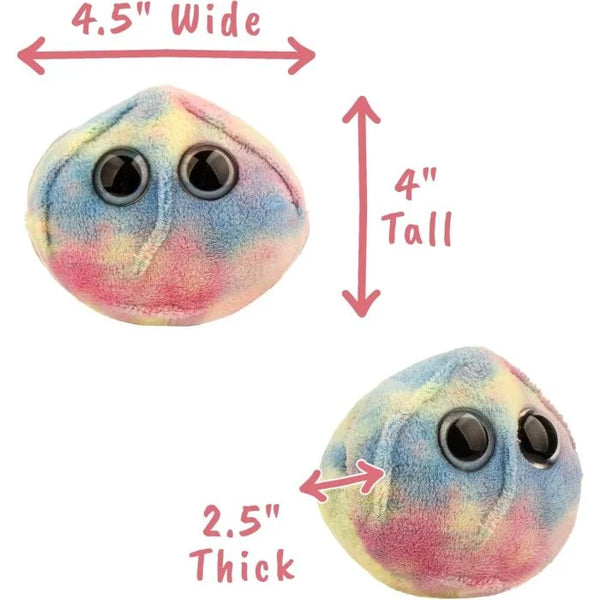 Stem Cell