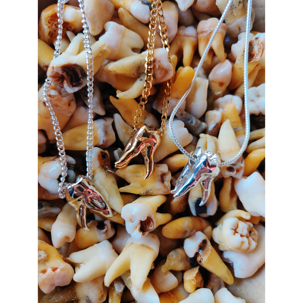 Tooth Necklace